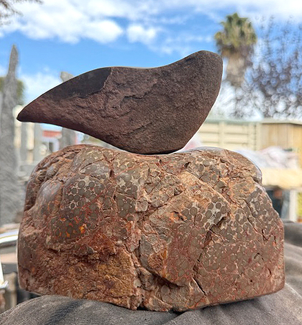 Sandstone Dove